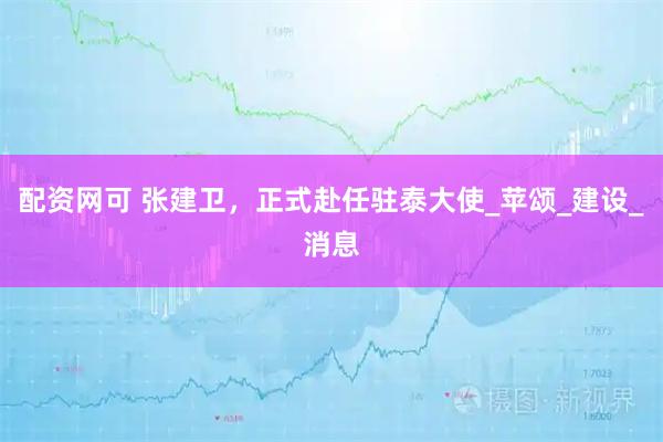 配资网可 张建卫，正式赴任驻泰大使_苹颂_建设_消息